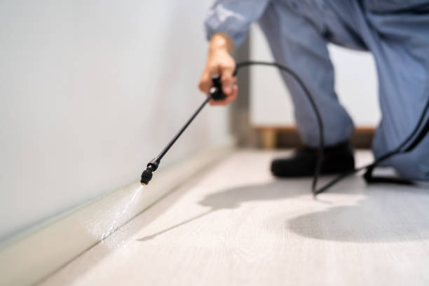 Professional exterminator conducting IPM assessment in Fulton